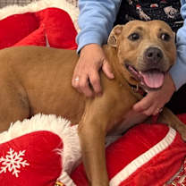 Thumbnail photo of Tootsie #1