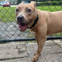 Thumbnail photo of Tootsie #2