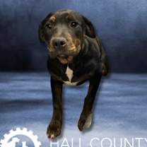 Thumbnail photo of Franklin #2