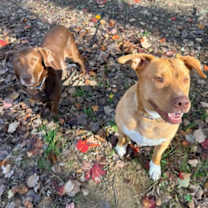 Thumbnail photo of Skipper #2