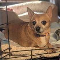 Thumbnail photo of Lucky #1