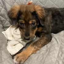 Thumbnail photo of Theo #1