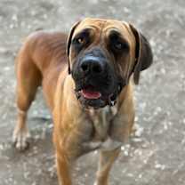 Thumbnail photo of WENDY #1