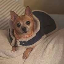 Thumbnail photo of Lucky #3