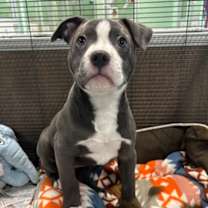 Thumbnail photo of Ocean #1