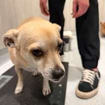 Thumbnail photo of Ned #3