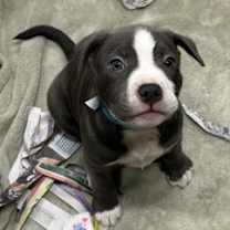 Thumbnail photo of Ocean #2