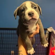 Thumbnail photo of Ocean #3