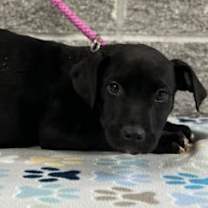 Thumbnail photo of Anita #1