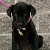 Thumbnail photo of Anita #2