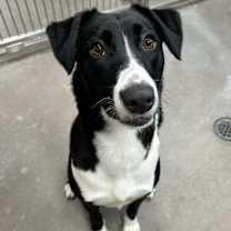 Thumbnail photo of Susan #2