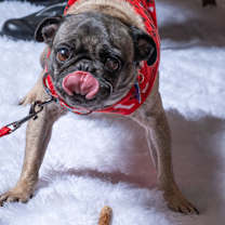 Thumbnail photo of Margot #3