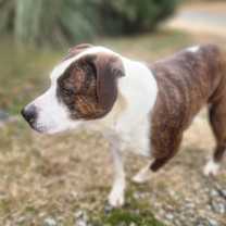 Thumbnail photo of Penelope #2