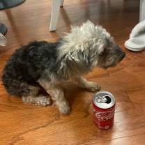 Thumbnail photo of Maggie #4