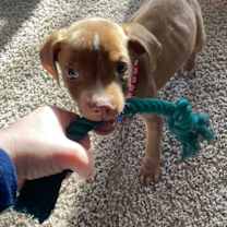 Thumbnail photo of Truffle #3