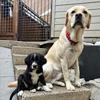 Thumbnail photo of Dolly #2