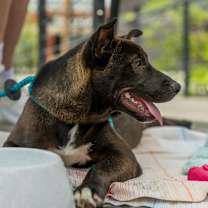 Thumbnail photo of Bug #4