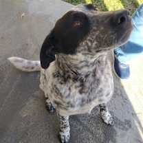 Thumbnail photo of Frosty #2