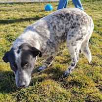 Thumbnail photo of Frosty #3