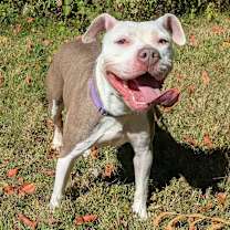 Thumbnail photo of Sally #1