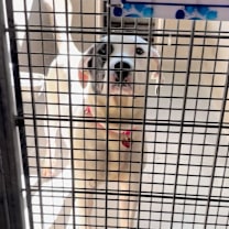 Thumbnail photo of Sally A2238511 #3