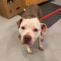 Thumbnail photo of Sally #2