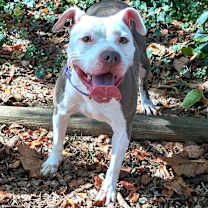 Thumbnail photo of Sally #3