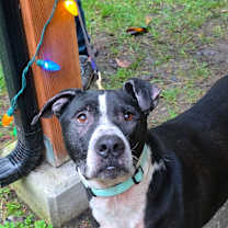 Thumbnail photo of Bubbas #2