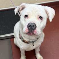 Thumbnail photo of Winter #1