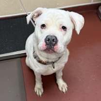 Thumbnail photo of Winter #2