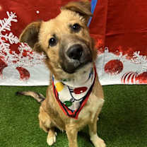 Thumbnail photo of Boots #1