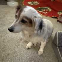 Thumbnail photo of Sylvia #2