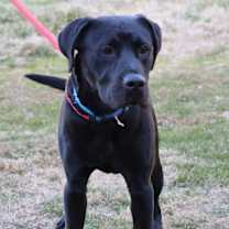 Thumbnail photo of Kade #2