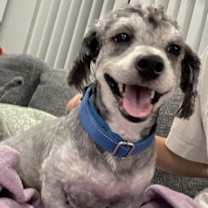 Thumbnail photo of Finley #3