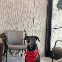 Thumbnail photo of Glitter #2