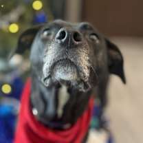 Thumbnail photo of Glitter #3