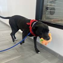 Thumbnail photo of Glitter #4