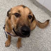 Thumbnail photo of Clark #2