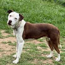 Thumbnail photo of Olivia #2