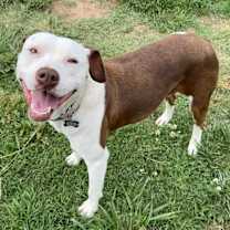 Thumbnail photo of Olivia #3