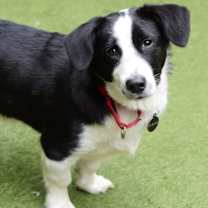 Thumbnail photo of Logan #1