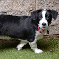 Thumbnail photo of Logan #3