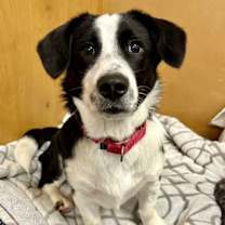 Thumbnail photo of Logan #4