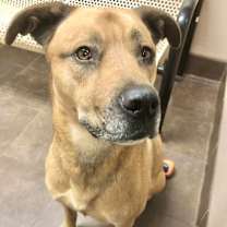 Thumbnail photo of Dr Drey #3