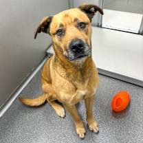 Thumbnail photo of Dr Drey #4