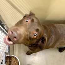 Thumbnail photo of Mrs. Claus #1