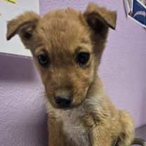 Thumbnail photo of 59964912 #2