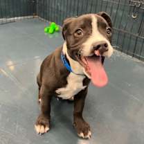 Thumbnail photo of Jerky #2