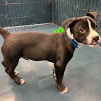 Thumbnail photo of Jerky #3