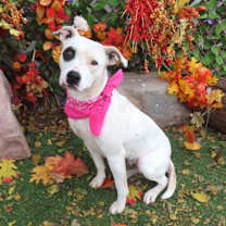 Thumbnail photo of S'more #1